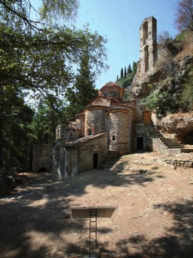Κρινάνθεμο ανάμεσα σε ρόδακες.