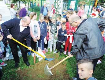 uri po lokalnem času sadijo drevesa in v 24 urah zeleni obroč dreves obkroži Zemljo. Kako bomo k miru prispevali mi, odrasli in vsi mladi sveta? Odgovor je preprost.