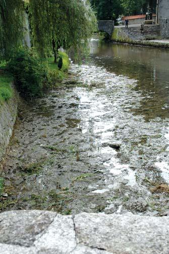 Ribiči očistili Bistrico, ki počasi umira pred našimi očmi 12. in 13. avgusta smo ribiči očistili strugo Bistrice skozi mestno jedro od cerkve do Čevljarskega mosta (Urbanova ulica).