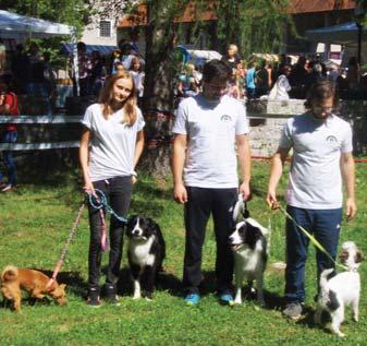 To je program, po katerem tekmujejo tudi na svetovnem prvenstvu. Po tem programu sta položeni dve tuji sledi, vsaka v enem dnevu in na različnih krajih.