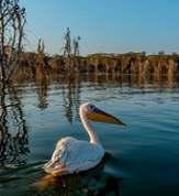 Park), μία συγκέντρωση γλυκού νερού με μόλις 5 μέτρα βάθος.