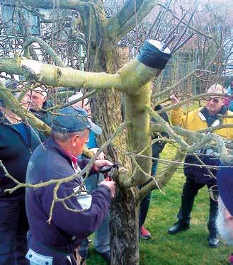Od 15. marca dalje so v vrtnarski hiši na voljo tudi ekološke sadike zelenjave in sadja ter semena. Vrtnarska hiša se nahaja pri camping depoju za Supernovo.