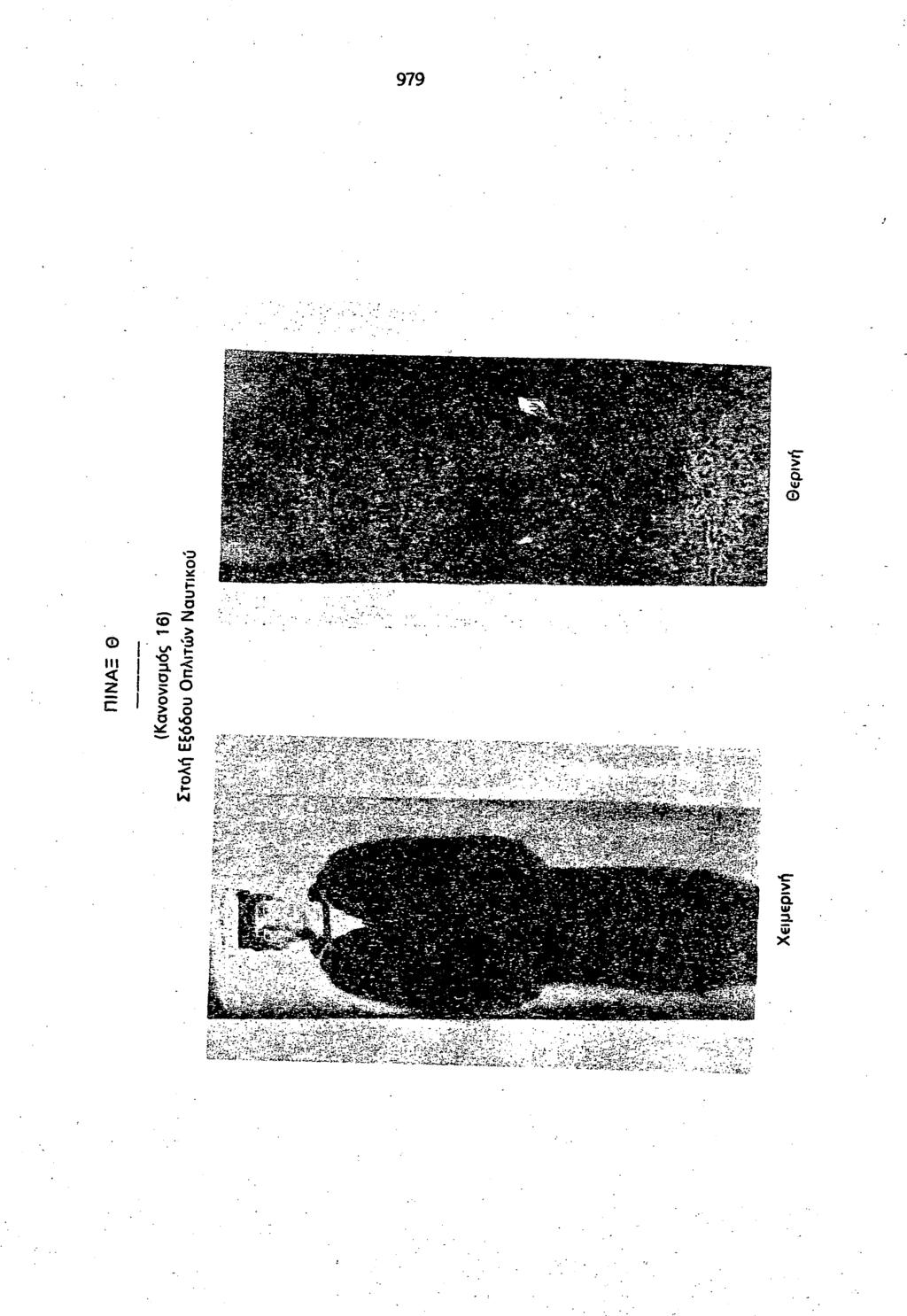 III 2 979