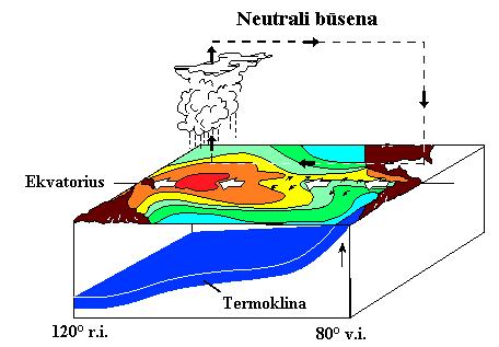 El Ninjo ir La Ninja neretai keičia vienas kitą. 1950 1997 metais El Ninjo truko 31 %, o La Ninja 23 % viso laiko. Likusieji 46 % gali būtų priskiriami neutraliai būsenai.