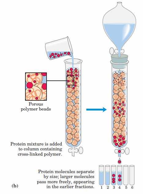 3. HPLC metode u analitici bioloških lekova 1. Size-exclusion chromatography hromatografija zasnovana na razlikama u veličini molekula 2. Jonoizmenjivačka hromatografija 3.