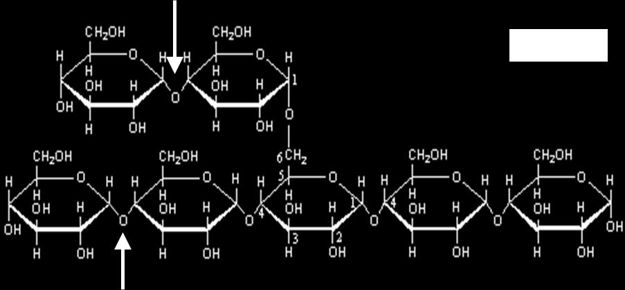 pb e) P 1 pb f) P 1 pb g) N 1 pb h) N 1 pb Úloha 2 (2 b; 8 pb) Enzým Reakcia a E 1 pb b D 1 pb c B 1 pb d F 1 pb e A 1 pb f H 1 pb g C 1