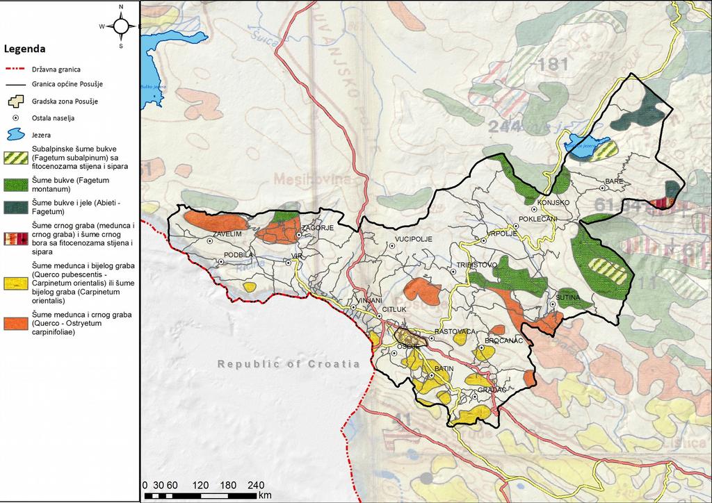 U Općini su zastupljene šumske površine s različitim vrstama drveća među kojima prevladava bukva na višoj nadmorskoj visini i hrast u nižim predjelima Općine, tj. do oko 1.000 m n.m. U manjoj količini rasprostranjena je i crnogorična visoka šuma i to na prostoru sjevernih padina Čvrsnice.