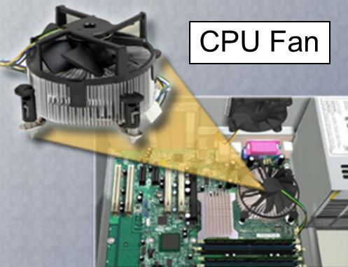 Quad Core CPU - Katër bërthama brenda një çipi të vetëm, në të cilin të gjitha bërthamat mund të procesojn informacionin në të njëjtën kohë e që përdoret për aplikacione e softuerë të avancuar që