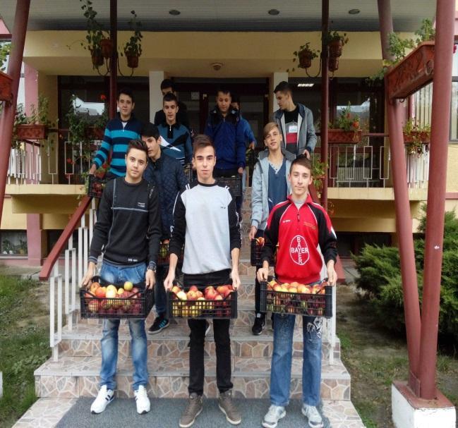 Ce este voluntariatul?