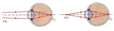 .6 Ochiul. Vederea cromaticã Aminteºte-þi! Ochiul este un receptor complex care transformã imaginile formate pe retinã în senzaþii vizuale.