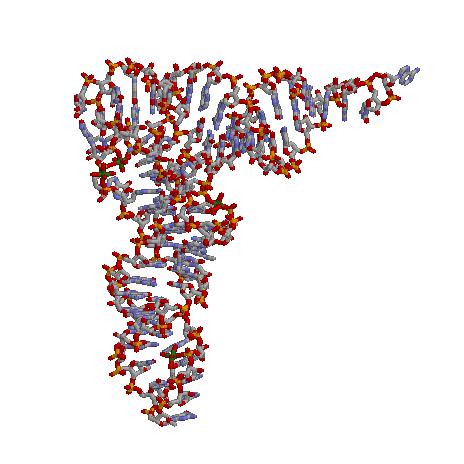 RNA Tertiary