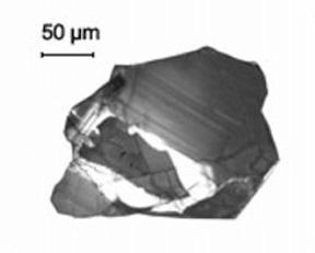 (hemijska evolucija): biomolekula -Biohemijski dokazi -RNK