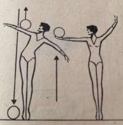 γ) Φάση ανάκτησης: κατά την οποία η αθλήτρια απορροφά την ορμή του οργάνου που ανακτά. Γι αυτό η ανάκτηση θα πρέπει να συνοδεύεται από την κίνηση του χεριού και ολόκληρου του σώματος.