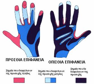 7 μολυςμζνθ περιοχι του ςϊματόσ του και ςτθ ςυνζχεια μία λιγότερο μολυςμζνθ.