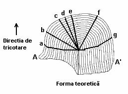 Figura 15.