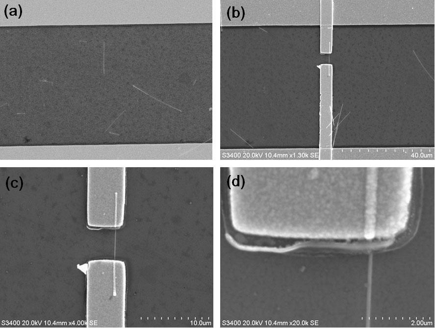AZ5214E) care dupa iluminari in UV printr-o masca si tratamente termice succesive conduce la formarea unor tipare; (c) obtinerea electrozilor de Ti/Au (10/100 nm), dupa eliminarea fotorezistului,