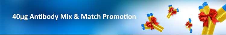 GenScript would like to best support your research needs. For any 40ug antibody product priced at $99/vial, we re offering you the following promotion program!