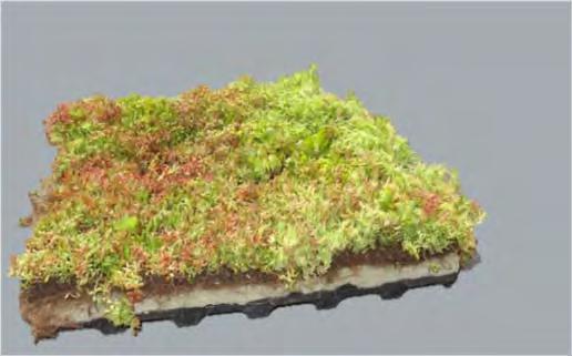 SISTEMSKE