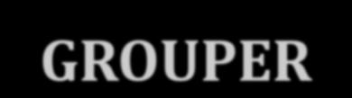 ΑΛΓΟΡΙΘΜΟΣ GROUPER ΕΙΣΑΓΩΓΗ ΣΤΟ