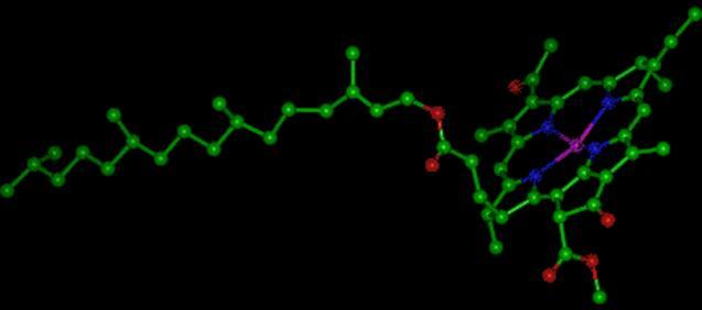 Χλωροφύλλη (γ) Συντμήσεις: A = -CH 2 COOH, E = -CH