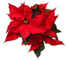 Bill and Effie Neatherly and Family George and Bessie Neofotistos Alexander and Marianne Nikas and Family Serafim and Despina Notaras Elias and Athanasia Papachristos John and Maria Papadimitriou and