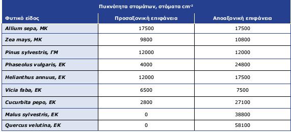 Στόματα