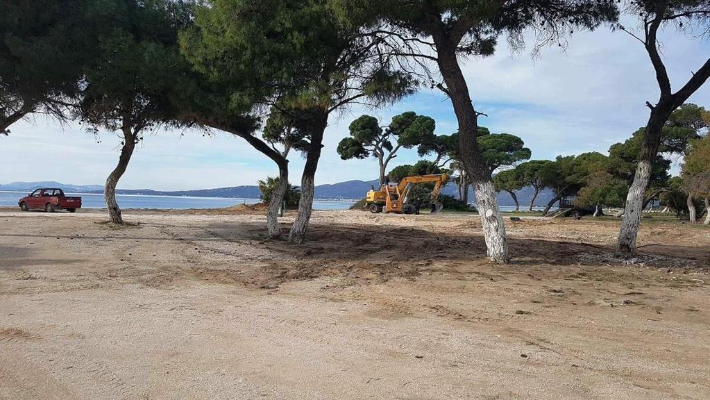 κατασκευώνεπεκτάσεων των καταστημάτων υγειονομικού ενδιαφέροντος, του Δήμου Μαραθώνα για την αφαίρεση των αδειών λειτουργίας των καταστημάτων, συντονισμός της Διεύθυνσης