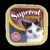 γάτες cat