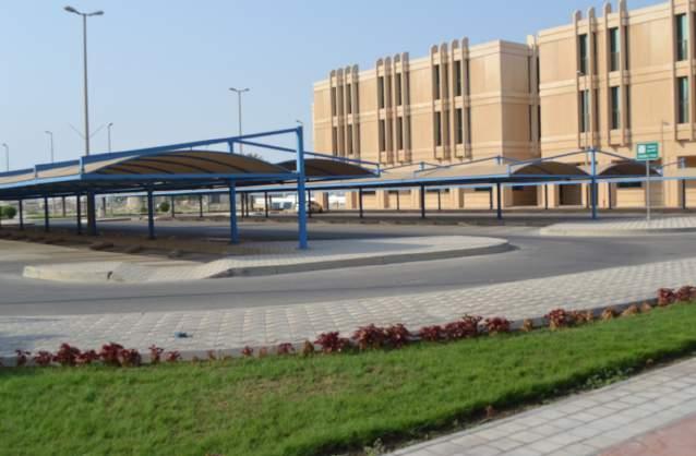 الصحية 50
