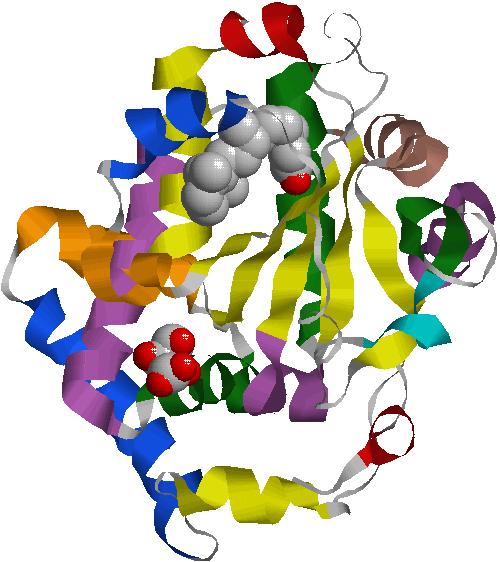b, P pārnese N ar PTP līnijas mutācijām fosfāta galvas grupas atpazīšanai ciāna. wtptp (pelēks). c, Nepolārie atlikumi veido hidrofobo kabatu, kura piemērota :0-P sfingozīnam un acil virknēm.