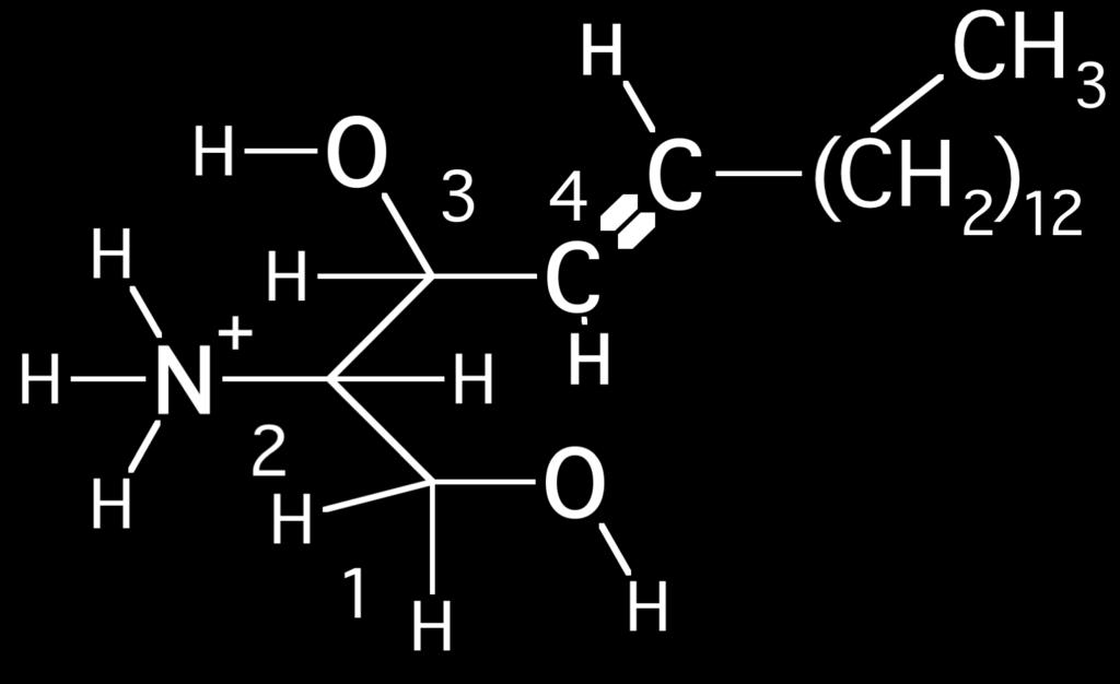 ( ) R ( ) N R P N N + P Sfingomielīns Glikozil keramīds (cerebrozīds) oligo saharīda keramīds (gangliozīds) Arahidonskābes sāls arahidonāts ir fosfatidil holīna taukskābju esteru komponents šūnu