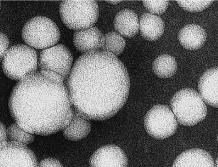 ilomikronu pūslīša diametrs ir robežās no 00 nm līdz 00 nm un satur līdz pat 0 miljons molekulām tauku, holesterīna, olesterols Triacilglicerīdi Fosfolipīdi līdzīgi