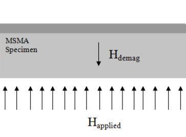 b z y x -c Fig. 5 The coordinate system on prismatic MSMA speciment شكل 5 دػتگب هختلبت س ی لغؼ آلیبط حبفظ داس هغ بعیؼی هىؼت هؼتغیل Fig.