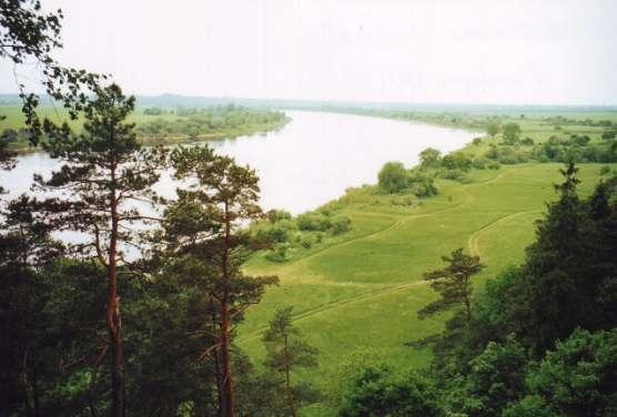 Nemuno baseinas Praeito šimtmečio pradžioje buvo pasiūlyta ir daugiau projektų, kaip rekonstruoti Nemuno upyną, bet jie nebuvo įgyvendinti.