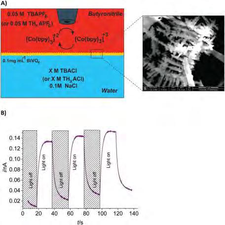 65.P کتابچه چکیده مقاالت کنفرانس سلولهای خورشیدی نانوساختاری Novel insight to investigate the visible-light-driven water oxidation reaction at polarized liquid-liquid interfaces Shokoufeh Rastgar,