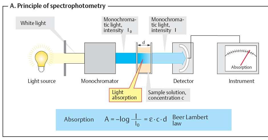 SPEKTROFOTOMETRIJA Savršenija forma kolorimetrije, gde svetlost prolazi kroz rešetku u ili prizmu, pa je moguće razlikovati materije koje imaju izuzetno usku granicu talasnih dužina.