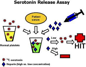 diagnostika Funkčné laboratórne testy Serotonin release assay /SRA/ Ako marker aktivácie Tr sa stanovuje serotonín v prítomnosti heparínu Heparin-induced platelet activation assay / HIPA/