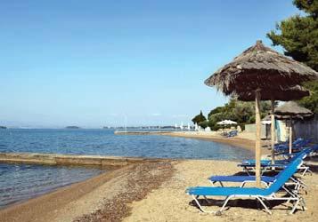 κρασί σε καράφα, μπύρα βαρελίσια κατά την διάρκεια των φαγητών Ζωντανή
