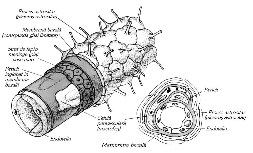 0,3 µm - Procesele