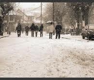 2. Të Flasim Përshkruaj stinën që të pëlqen më shumë dhe pse. Thuaj dhe ti disa nga karakteristikat e secilës stinë?