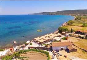 Ο δρόμος είναι άσφαλτος, υπάρχουν άνετα πάρκινγκ, ταβέρνες, παιδική χαρά και πολύ οργανωμένη καντίνα με πεντακάθαρα νερά. Για ψαγμένους ΓΕΝΙ ΛΙΜΑΝΙ Είναι το επίνειο του χωριού Κάπη.