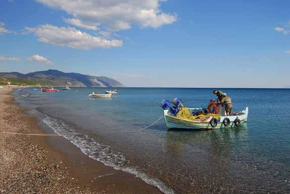 Και φτάνουμε στα «Καλαμάκια» κι αυτή από τις παλιότερες ταβέρνες των Βατερών, όπου η Μαρία συνεχίζει εδώ και χρόνια να έχει πιστούς πελάτες, με τους πιο παλιούς απ αυτούς να κοιτούν ασυναίσθητα στο