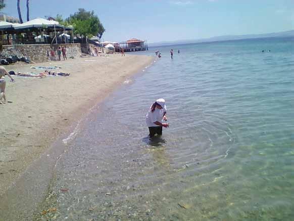 Παραλία (δεξιά από λιμάνι, μετά από 500 μέτρα) 29 Πευκί. Παραλία (δεξιά αμέσως από λιμάνι) 30 Πευκί. Παραλία (Super Market) 31 Αρτεμίσιο. Παραλία 32 Αρτεμίσιο. Παραλία (CAMPING) 33 Αγριοβότανο.