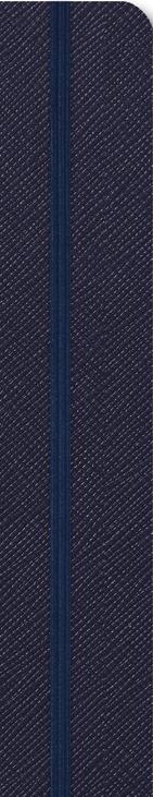 λάστιχου/pen loop από 14 χρώματα Εκτύπωση λογότυπου   Blue Μπλε Silver Ασημί Red