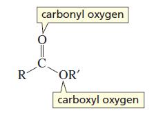 Mulți acizi au nume uzuale: Formula acidului Numele uzual Numele sistematic Acid formic Acid acetic Acid propionic Acid butiric Acid oxalic Acid malonic Acid succinic Acid glutaric Acid adipic Acid