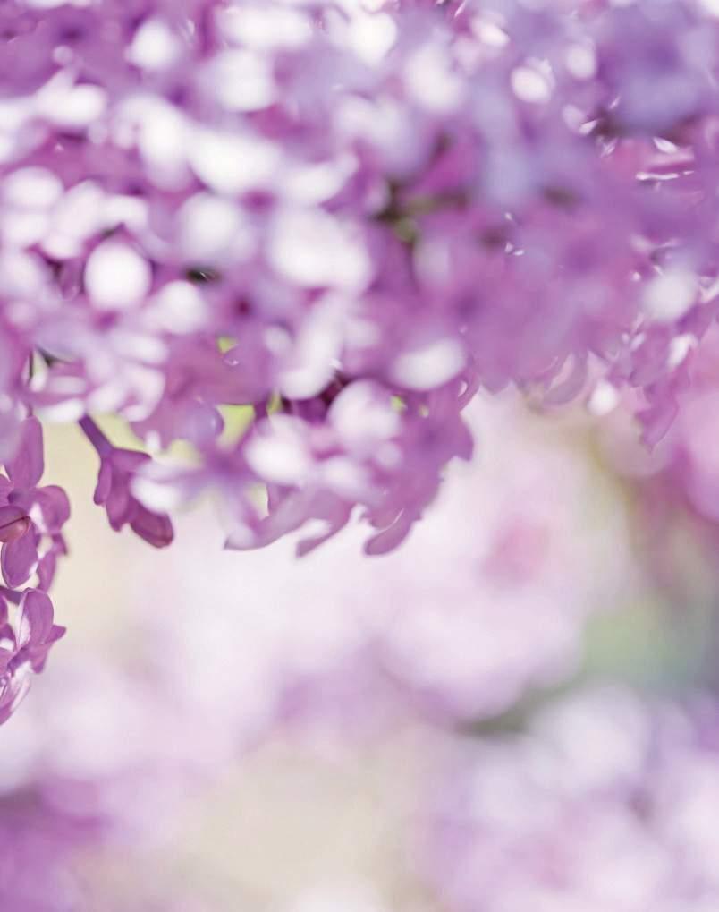 Είδη κήπου Γλαστροθήκες ΓΛΑΣΤΡΟΘΗΚΗ ΔΑΠΕΔΟΥ ΚΩΔ 90 ΜΑΥΡΗ ΚΩΔΙΚΟΣ ΔΙΑΣΤΑΣΕΙΣ