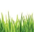 STABPLAST 100950