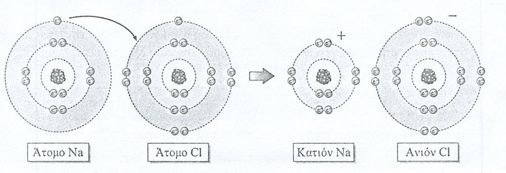 To άτομο του Cl, για να αποκτήσει σταθερή ηλεκτρονιακή δομή ευγενούς αερίου, έχει τάση να προσλάβει 1 ηλεκτρόνιο στην εξωτερική του στιβάδα και να μετατραπεί σε ανιόν: Cl + e - Cl - (2,8,7) (2,8,8)