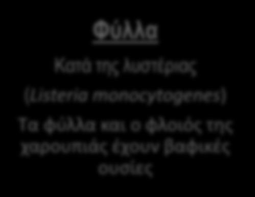 Χαρουπιά: Δέντρο Εργοστάσιο Όλα όσα