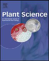 Plant Science 184 (2012) 141 147 Contents lists available at SciVerse ScienceDirect Plant Science jo u rn al hom epa ge: www.elsevier.